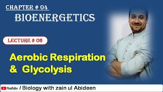 Respiration  Glycolysis  Bioenergetics [upl. by Ynitsed]