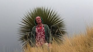 FIELD TRIP WITH PATRICK BLANC IN PERU 4  ALTIPLANO TO PUERTO MALDONADO amp LAKE TITICACA [upl. by Yeorgi439]