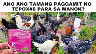 Ano ang gamot sa sakit ng manok na avian malaria coccidiosis colibacillosis at salmonellosis [upl. by Hymie382]