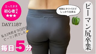 四角く垂れたピーマン尻を卒業！40歳すぎてからでもまあるいお尻を作れる運動｜DAY1187 5MIN Standing Hip Dips Workout at Home [upl. by Nirda]