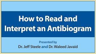 How to Read and Interpret an Antibiogram [upl. by Leggett391]