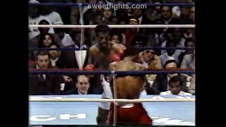 Michael Spinks vs Dwight Muhammad Qawi Full Fight [upl. by Neelyam]