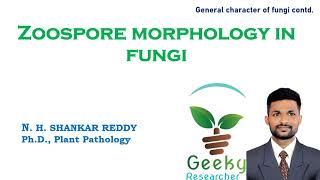 Lec 10 Zoospore Morphology In Fungi and Fungi like Organisms [upl. by Ydaj]