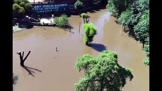 Imágenes aéreas de la creciente del Río Uruguay en Colón [upl. by Heffron]