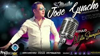 MAESTRO JOSE GUACHO  LLULLA SHUNGUITO AUDIO OFICIAL EXITOS 2019 [upl. by Bekha]