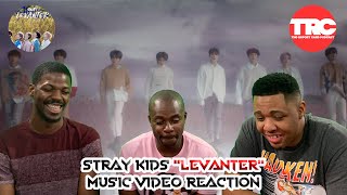 Stray Kids quotLevanterquot Music Video Reaction [upl. by Llertnod]