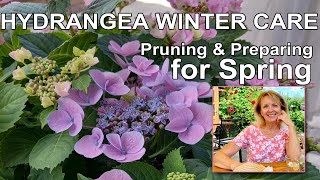 Hydrangea Winter Care Pruning and Preparing for Spring [upl. by Hakaber]