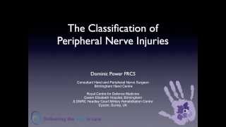 The Classification of Peripheral Nerve Injuries [upl. by Hedve195]