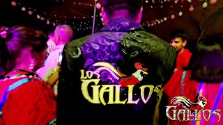 Los Gallos de Itunyoso en Rastrojo Copala 9 de Sept 2023 [upl. by Arlen455]