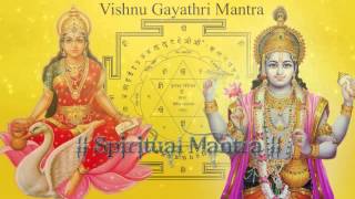 Om Narayanaye Vidmahe Vasudevaya Dhimahi Tanno Vishnu Prachodayat  Narayana Gayatri Mantra [upl. by Delanos]