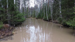 KirkkoSurnui rehevöittää Surnuinjokeakin Drone ilmakuvaa [upl. by Ais156]