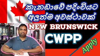 කැනඩාවේ පදිංචියට අලුත්ම අවස්ථාවක් Canada Visa  New Brunswick Critical Worker Pilot [upl. by Ajad]