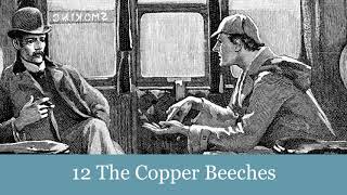 12 The Copper Beeches from The Adventures of Sherlock Holmes 1892 Audiobook [upl. by Kingsly]