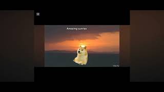 Doge Philippines experience season 1 full episodes  episode 15 [upl. by Purse]