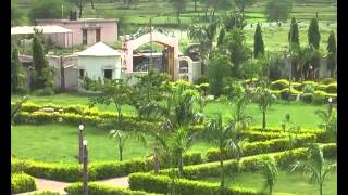 Beautiful Crocodile Wild Park of Kotami Sonar Janjgir Champa Bilaspur Chhattisgarh A Tourist Place [upl. by Jammie112]