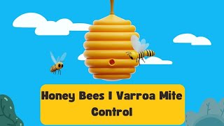 Honey Bees I Varroa Mite Control [upl. by Onabru577]