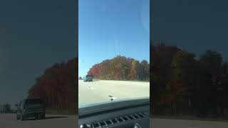 Naturally colored TREEs in Fall USA 🇺🇸 2024 usa youtubeshorts trending [upl. by Ahsienat]