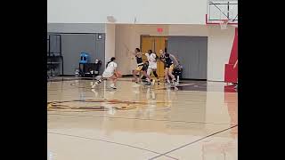 UC Santa Cruz vs Claremont MS Womens basketball November 2024 [upl. by Danczyk]