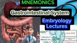 Gastrointestinal System Embryology Lecture 41 Development of Gastrointestinal System [upl. by Jerz]