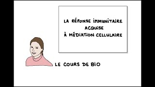 La réponse immunitaire acquise cellulaire lymphocytes T [upl. by Meilen683]