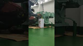 Gangway Ladder Motor Repaint Acri Machinery Greendailyvideoblog travel seamanvlogger daywork [upl. by Yesllek419]