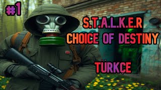 STALKER Choice of Destiny  TÜRKÇE 1 [upl. by Weidner394]