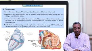 Dr Hossam  Heart 6  Venous Drainage of the Heart [upl. by Pool]