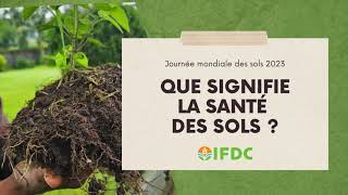 World Soil Day 2023 What Does Soil Health Mean to You French [upl. by Eustasius]