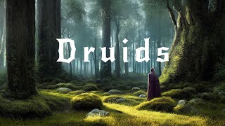 Druids  Soothing Ambient Music For Sleep and Stress Relief  Ambient Rain and Thunder [upl. by Fotina]