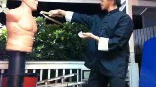 Nunchaku Demo On Dummy [upl. by Linzer]