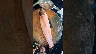 River fish Snakehead fishcutting fry short video [upl. by Oicnerolf313]