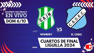 NEWBERY vs EL CEIBO  061024  LIGUILLA 2024 [upl. by Enirac]