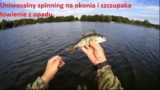 Uniwersalny spinning na okonia i szczupaka [upl. by Esinyt]