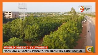 Mandera greening programme is one of the seven award winners of World Green City [upl. by Savinirs]