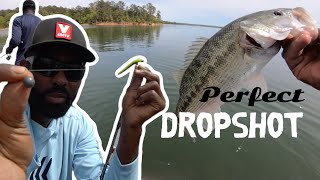 The Perfect Dropshot Combo —  BassFishing Tips [upl. by Goldston515]