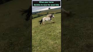 Horse racing the quad bike shortsyoutube horses family quadbike farming viralshorts [upl. by Aiet]