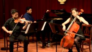 Arensky Piano Trio No1 Op32 in D minor First movement [upl. by Argent]