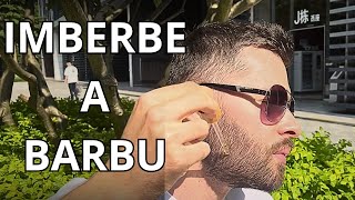 BARBE EN 3 MOIS  COMMENT FAIRE POUSSER SA BARBE  ASTUCES [upl. by Claiborn]