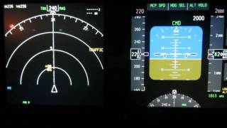 B737 NG TCAS Traffic Alert only single thread descending [upl. by Airemat]