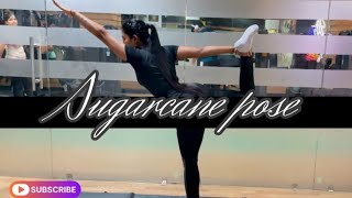 ARDHA CHANDRASANA 🌙 ardhachandrasana yog exercise [upl. by Tnomed]