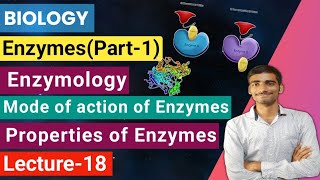 Biology Lecture18 Enzymespart1Enzymology Mode of action of enzymes Properties of Enzymes [upl. by Wivinia961]