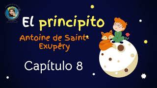 Audiolibro El principito Capitulo 8 Antoine de Saint Exupéry [upl. by Aihsilef]