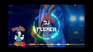 Agrupación Félida Ft Cristian Vidal  Celosa  Remix Dj FLEXER [upl. by Suolekcin]