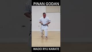 Pinan Godan  Wado Ryu Karate shorts [upl. by Irita]