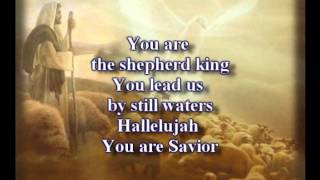 What A Savior  Laura Story  Worship Video With Lyrics [upl. by Yelsa241]