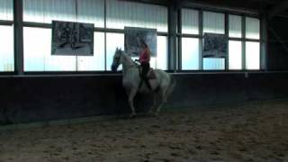 Levade  Academic art of riding  Classical riding [upl. by Cora]