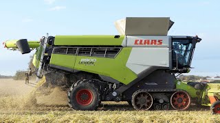 Claas Lexion 8900 harvesting rye  Biggest Claas Combine  Harvest 2023 [upl. by Durwin]