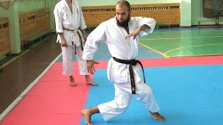 Shotokan Kata Empi standard KWF by Mourad Saihia part 1 [upl. by Ulises]