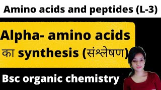 L3 alpha amino acid synthesis amino acid method of preparation bsc 3rd year organic chemistry [upl. by Fillander]