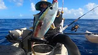 Jigging technique for yellow fin Tuna [upl. by Gotthelf]